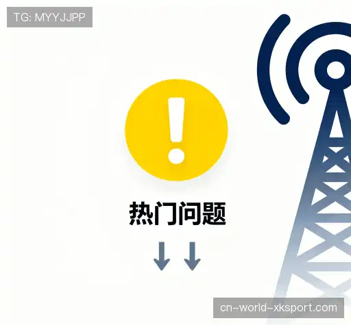 用户指南